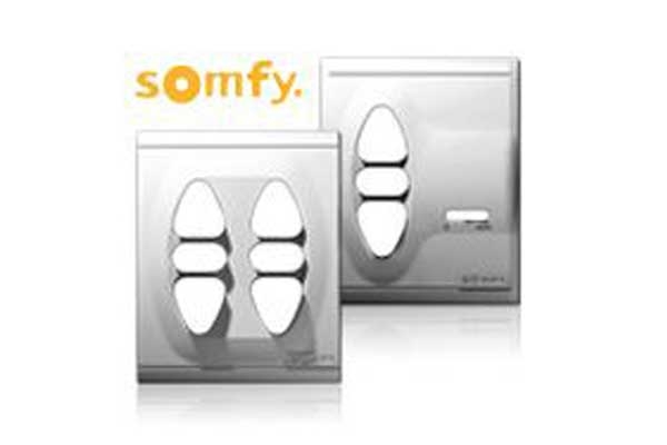 Somfy Inteo Standard