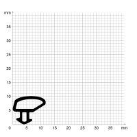 Zeichnung des Dichtungsprofils der Schlauchdichtung SL021.